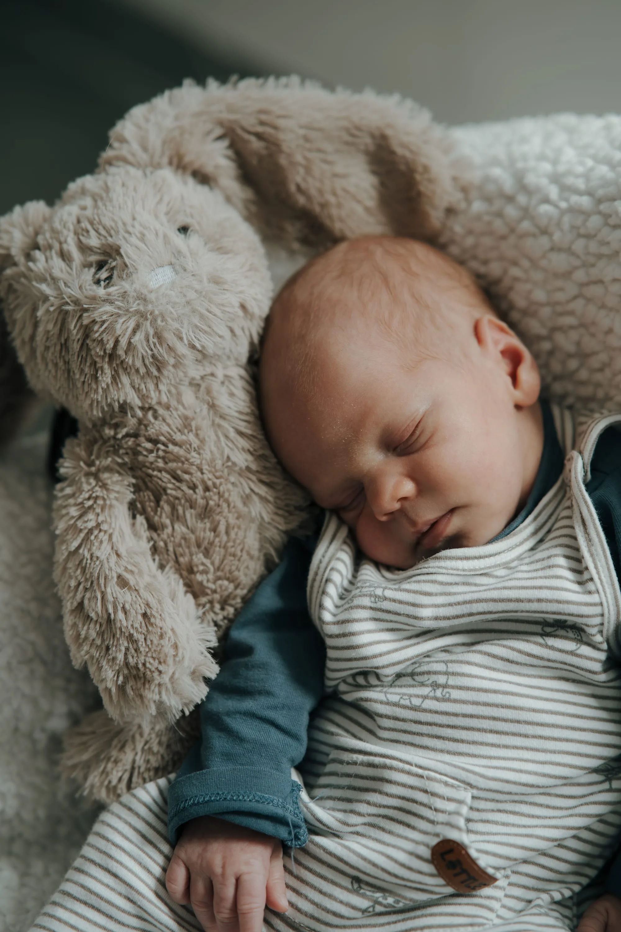 Raphael – Foto 1