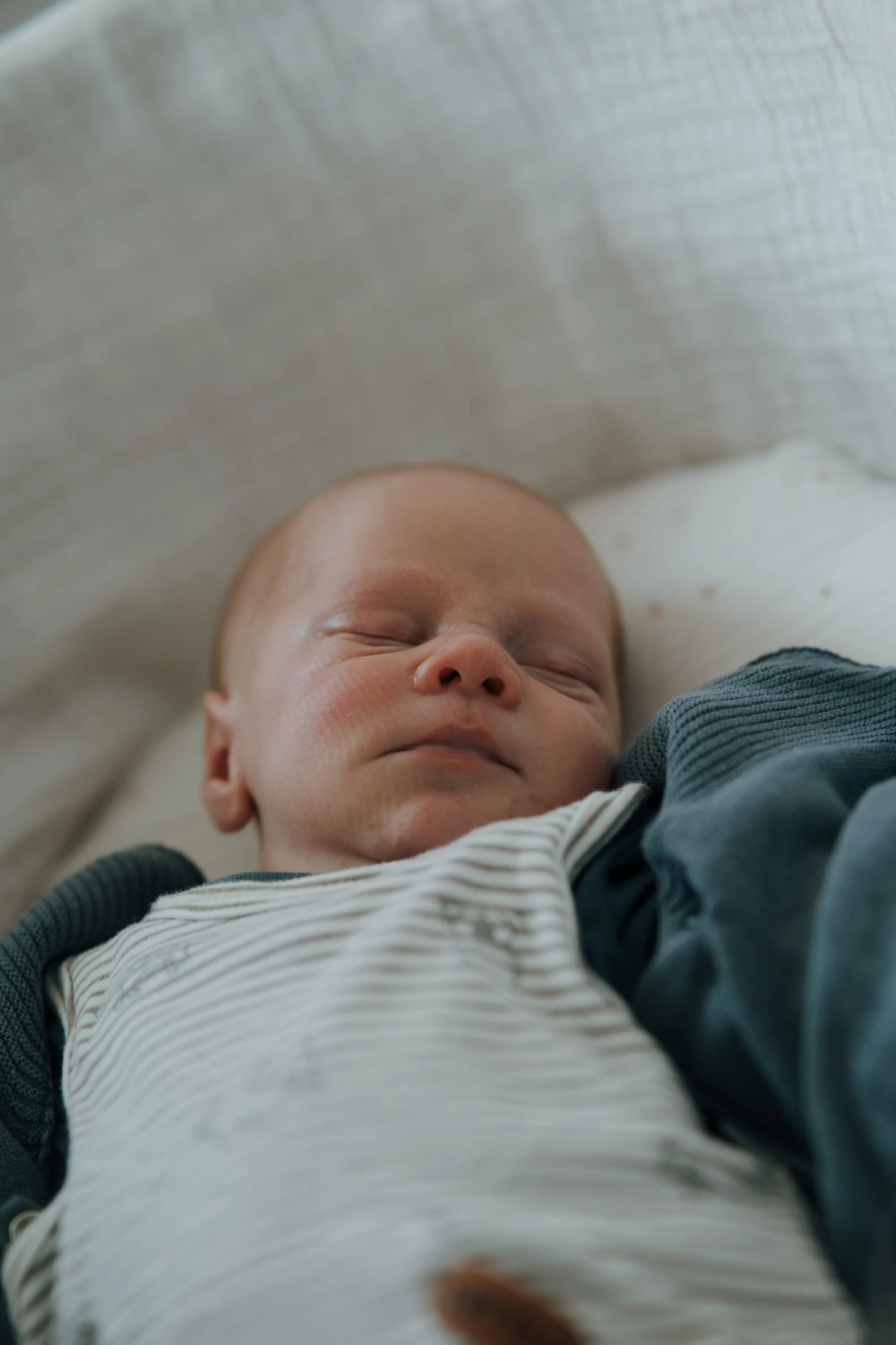 Raphael – Foto 2